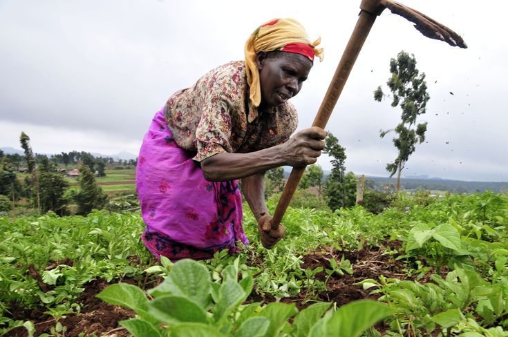 Women in agriculture